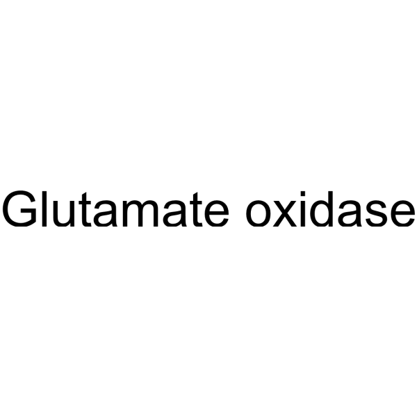 Glutamate oxidase (L-Glutamate oxidase) 39346-34-4